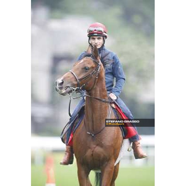 Andrea Atzeni on Farraaj Hong Kong - Sha Tin racecourse,12/12/2014 ph.Stefano Grasso