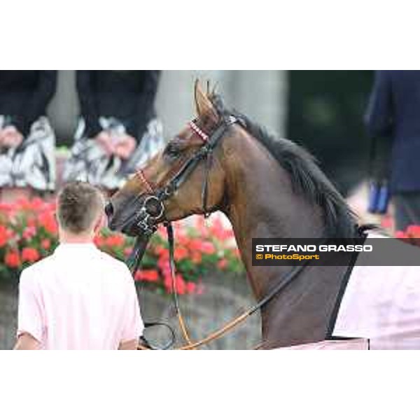 Lovelyn winner of the Oaks d\'Italia Milano - San Siro galopp racecourse,31st may 2015 ph.Stefano Grasso/Trenno srl