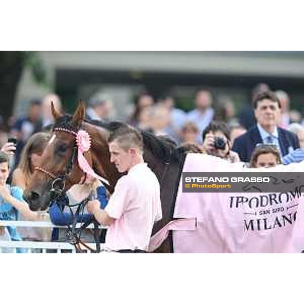 Lovelyn winner of the Oaks d\'Italia Milano - San Siro galopp racecourse,31st may 2015 ph.Stefano Grasso/Trenno srl