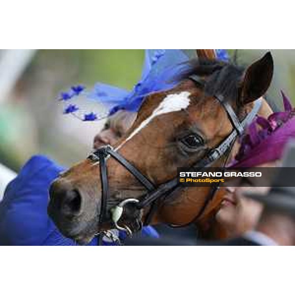 Ryan Moore and Gleneagles win the St.James\'s Palace Stakes Ascot - Royal Ascot First day,16th june 2015 ph.Stefano Grasso
